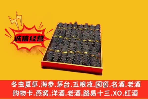 阜阳市临泉回收海参